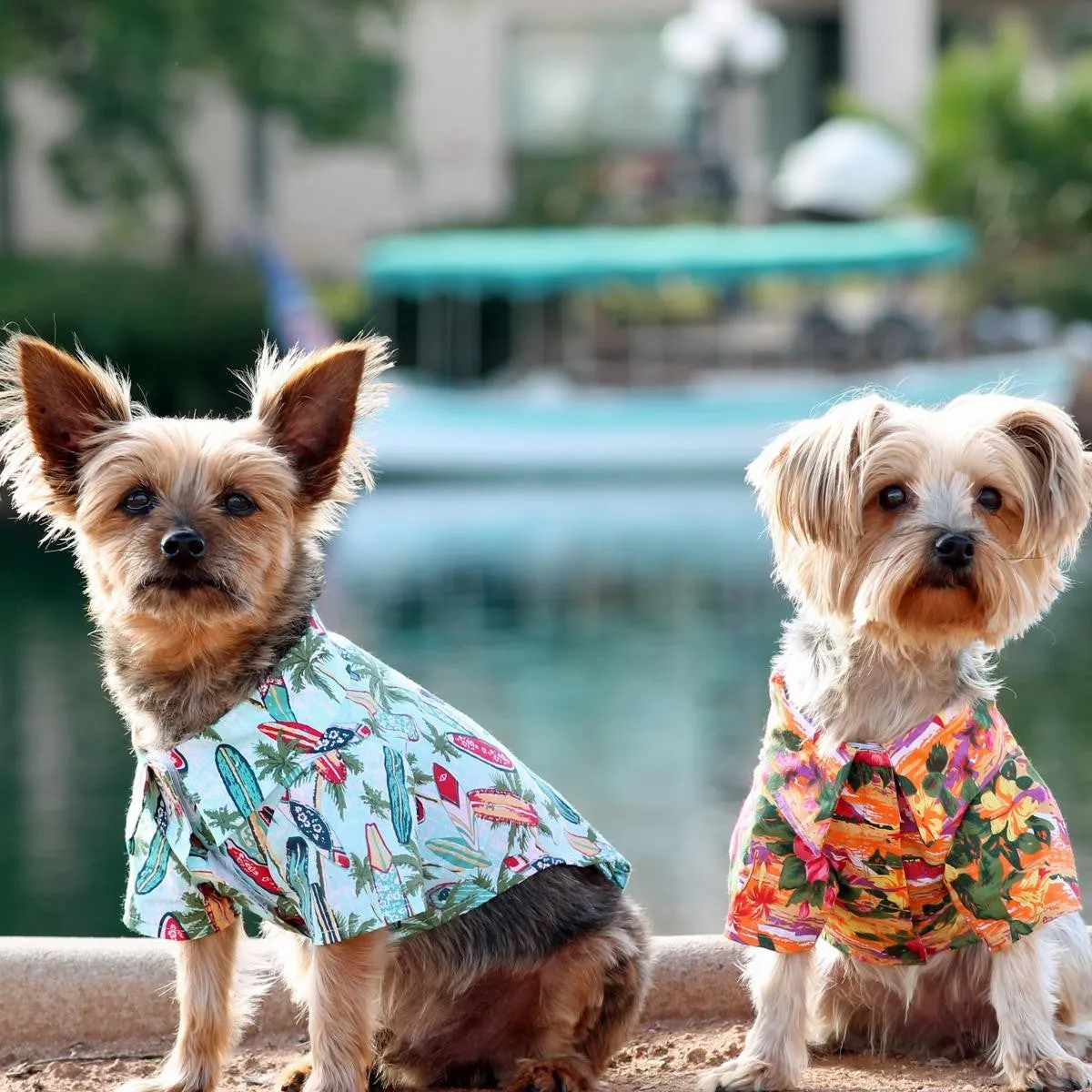 Hawaiian Dog Shirts