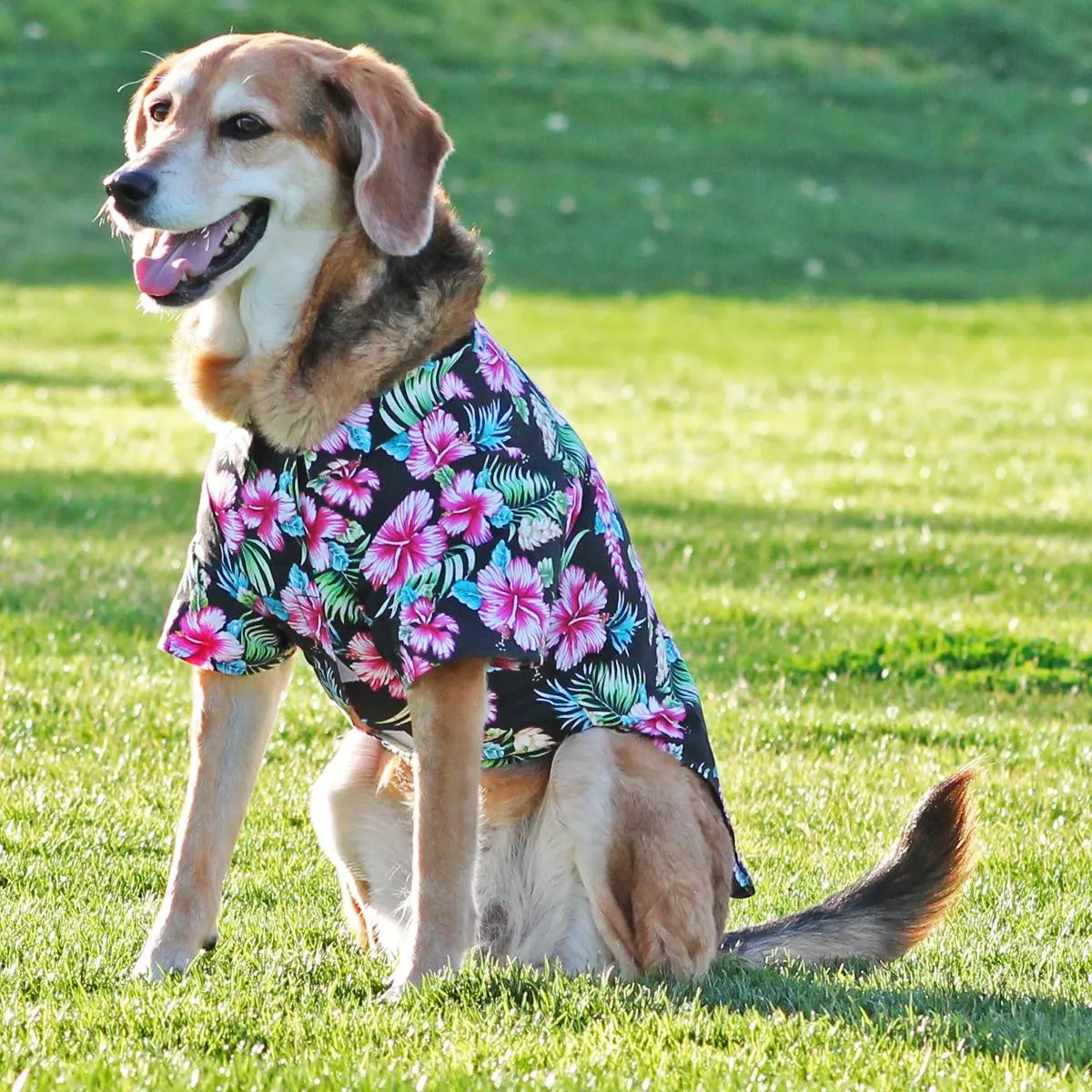 Hawaiian Dog Shirts