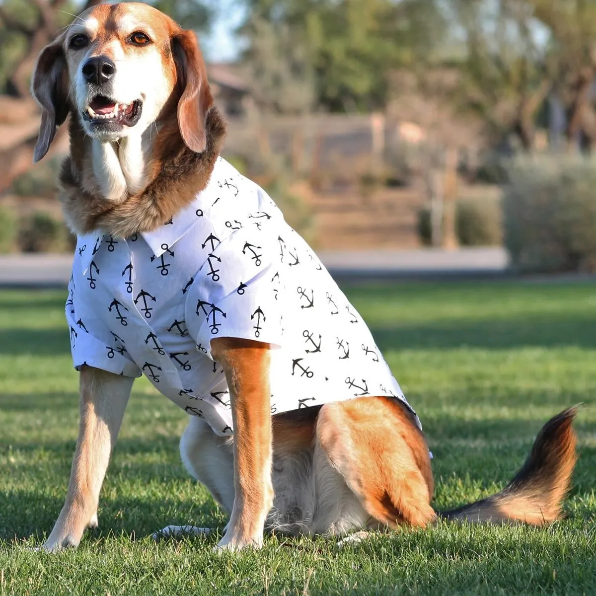 Hawaiian Dog Shirts