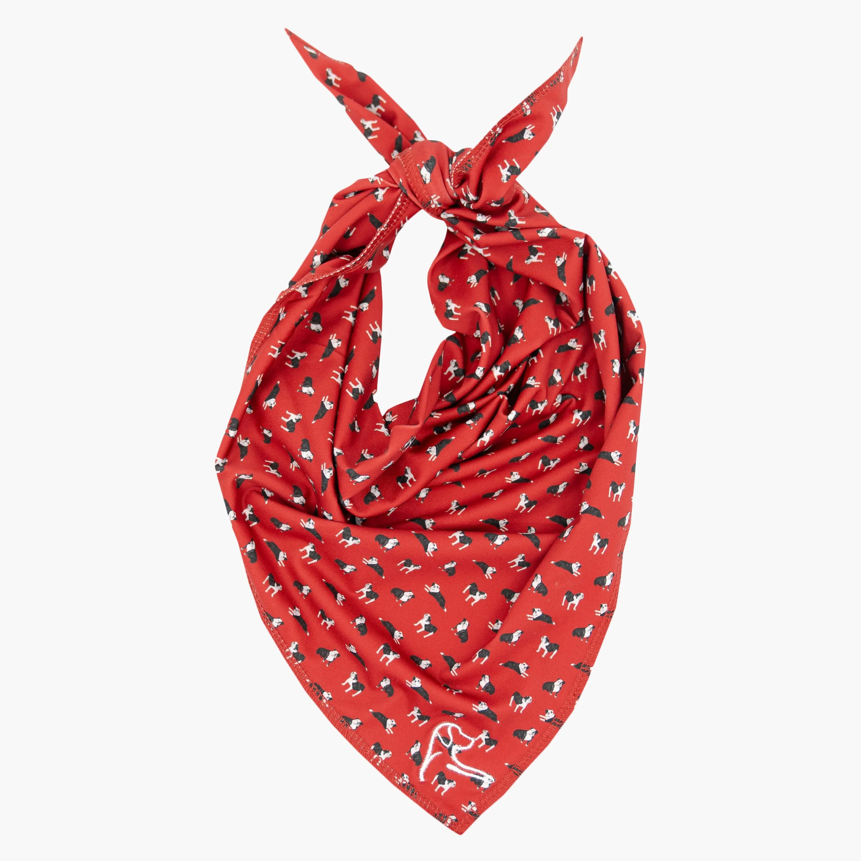 The Dawg | Performance Bandana | The Dawg - Crimson Red